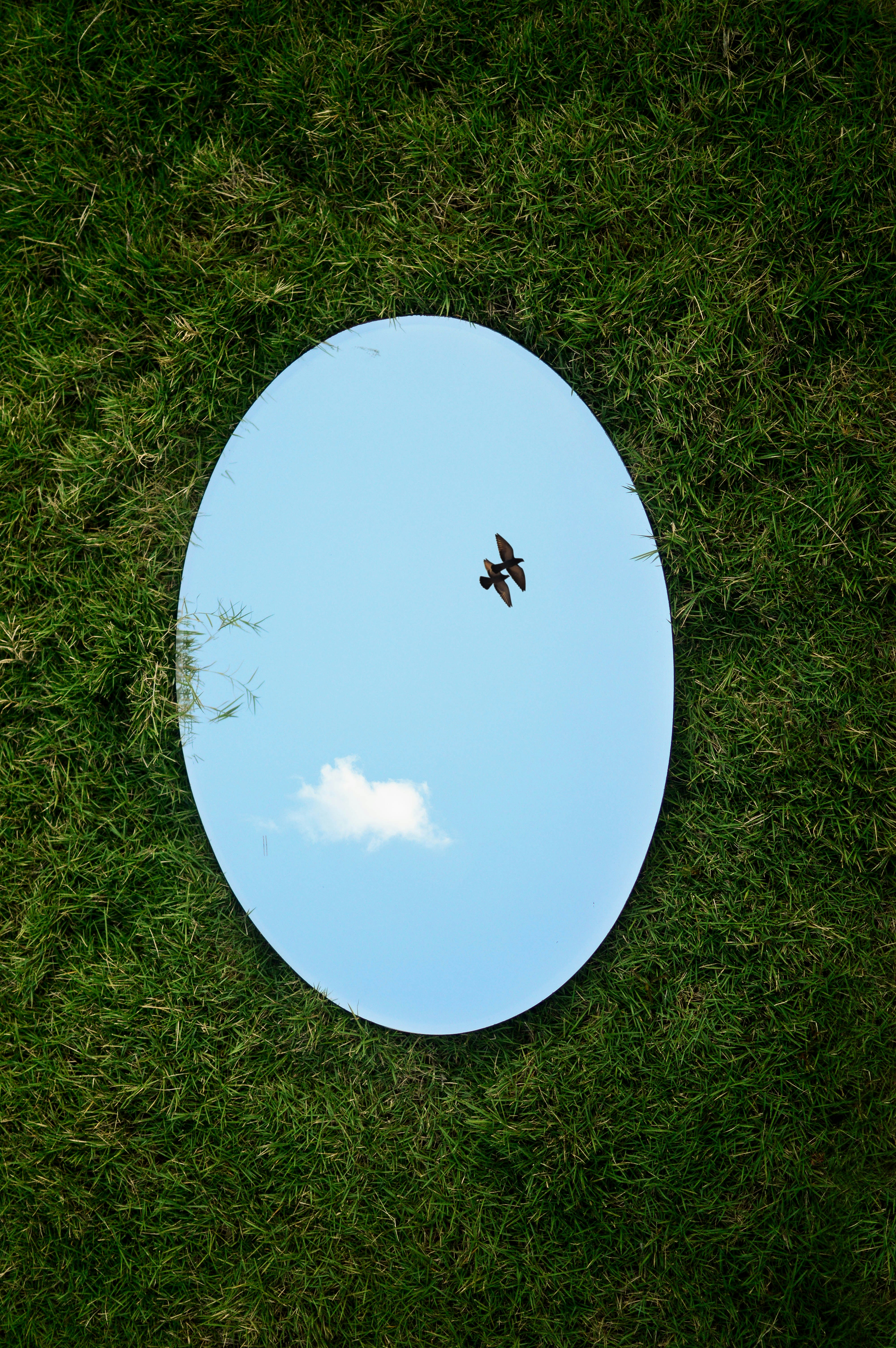 Oval mirror on grass reflecting open sky